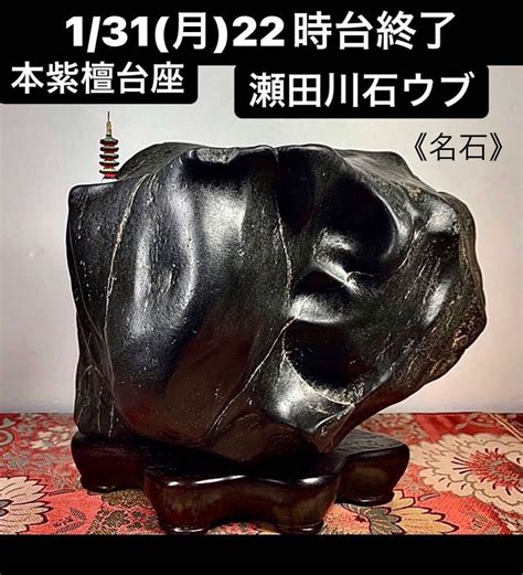 【やや傷や汚れあり】《初売企画》水石 盆栽 骨董 瀬田川石の名石 ウブ 本紫檀台座 横24×高21×奥行175cm 958kg 盆石