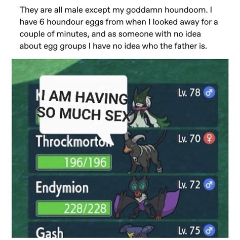 The Bunnest Bun On Twitter RT PkmnBrainrot Stop Slut Shaming Houndoom