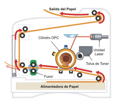 Hacer las tareas domésticas Acercarse número fusor impresora Anciano