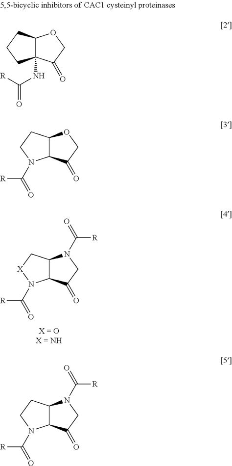 Furo B Pyrrol One Derivatives And Their Use As Cysteinyl