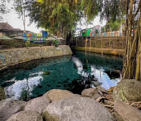 Umbul Kapilaler Umbul Unik Di Klaten Yang Punya Pohon Beringin Raksasa