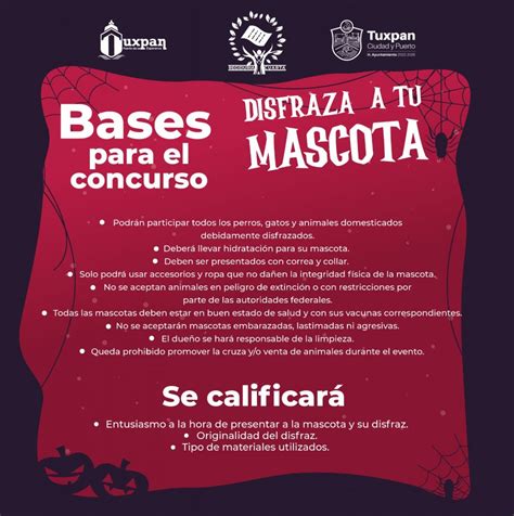 Inscripciones Abiertas Para El 2 Concurso Disfraza A Tu Mascota Que