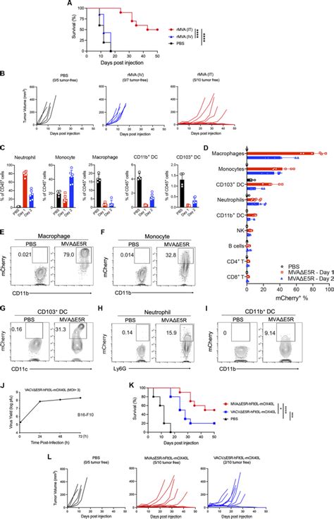 It Delivery Of Rmva Mvae R Hflt L Mox L Is More Efficacious In