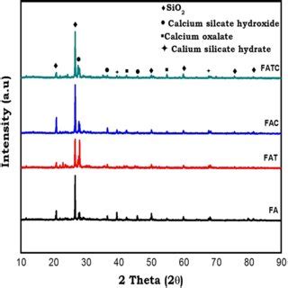 Fesem Images Of Concrete Specimens Exposed In Ammonium Sulfate