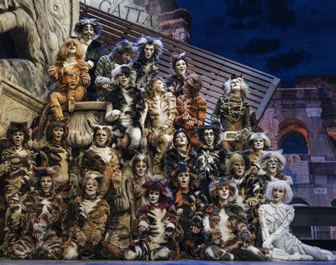 Cats Il Musical Dall Al Febbraio Al Teatro Europauditorium Di