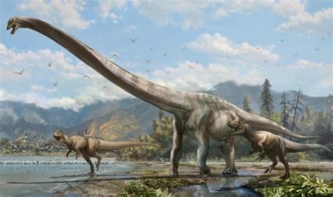 New Species Of Long Necked Dinosaur Discovered In China Asian