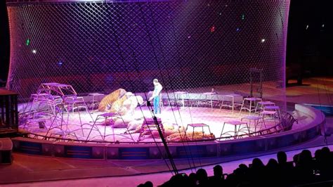 Ringling Bros And Barnum And Bailey Circus The Lions And Tigers Rise