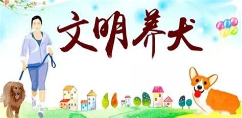 【文明创建】文明养犬，“宠”我做起澎湃号·政务澎湃新闻 The Paper