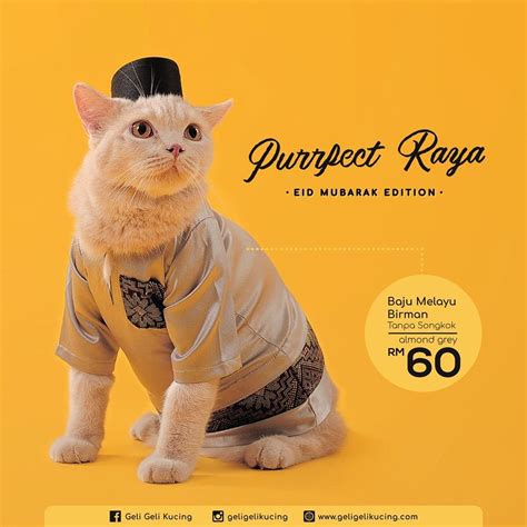 These Hari Raya Cat Outfits Will Give Your Feline Friends A Selamat ...