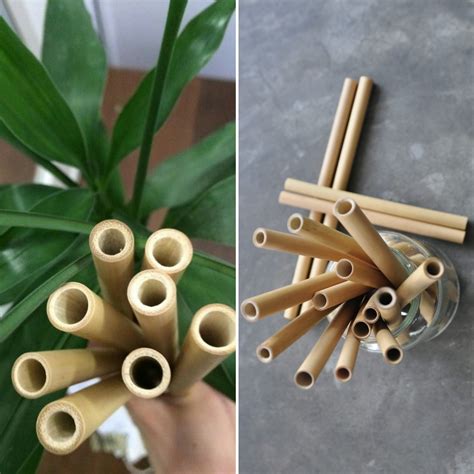 Bamboo Straw – iCYCLE Reward Store