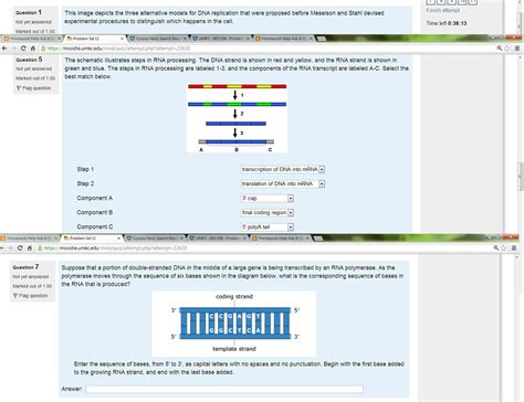Solved: Bio | Chegg.com