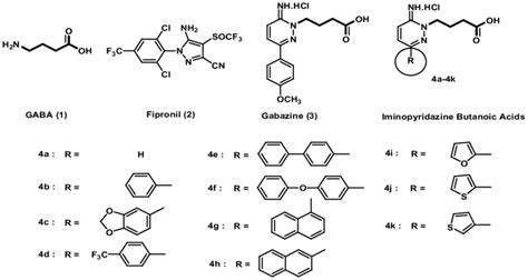 Chemical structures of GABA receptor agonist GABA (1), the GABA ...