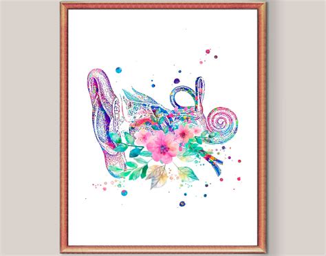 ear anatomy art auditory system art medical art  ear structure