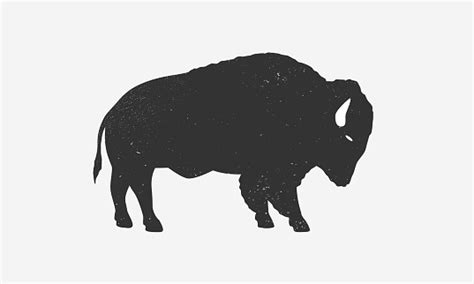 Bison Icon Silhouette With Grunge Texture Buffalo Silhouette Isolated ...