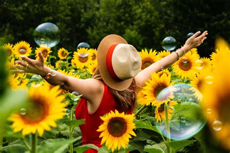 Woman Wearing Straw Hat Standing in Bed of Sunflowers · Free Stock Photo