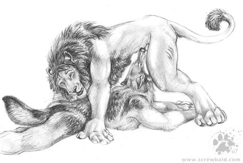 Rule 34 Anthro Blotch Canine Feline Fellatio Fur Furry Furry Only Gay