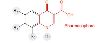 Fluoroquinolones Flashcards | Quizlet