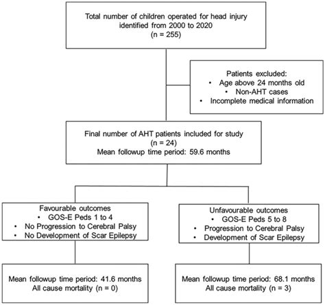 Schematic Overview Of Study Workflow Download Scientific Diagram