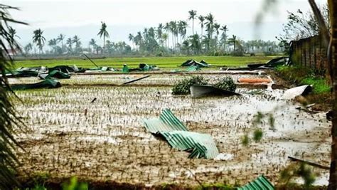 Pablo Agri Damage P10 3 B