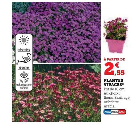 Promo Plantes Vivaces Chez Hyper U ICatalogue Fr