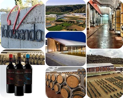 Dónde puedo ir de enoturismo en Zamora Bodegas Valbusenda