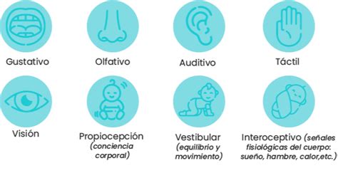 Neurosensorial