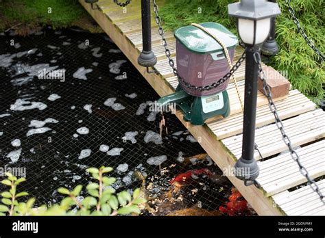 Automatic Pond Fish Feeder Stock Photo Alamy