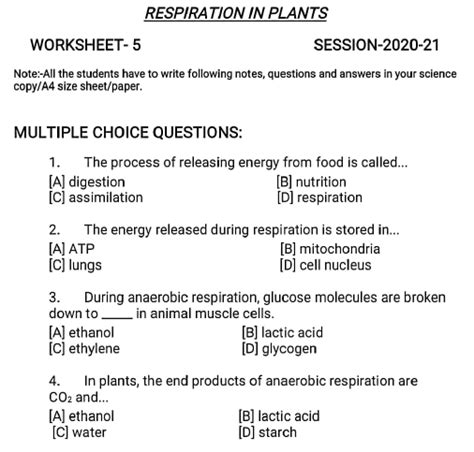 CBSE Class 10 Biology Revision Worksheet Set A Worksheets Library