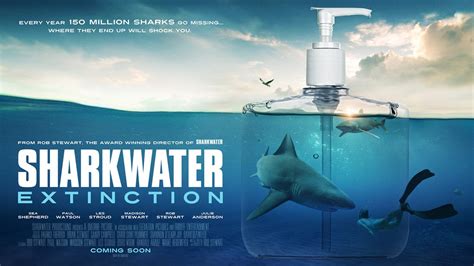 'Sharkwater' Filmmaker Making New Documentary Exposing Companies That ...