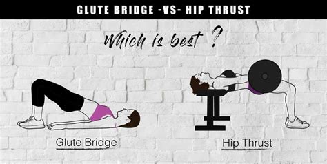 Barbell Hip Thrust Vs Glute Bridge