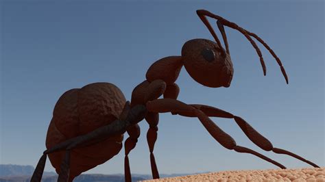 Artstation The Humble Hardworking Ant