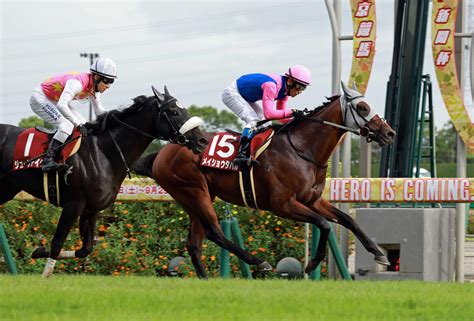 【神戸新聞杯】メイショウタバル 堂々の逃げ切りで重賞2勝目 浜中と息ピッタリ「馬とのコンタクトを大事に」（デイリースポーツ） Yahooニュース