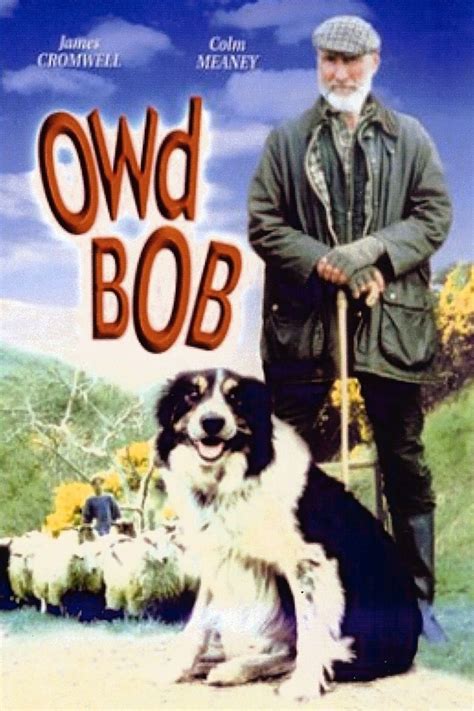 Owd Bob (1998 film) - Alchetron, The Free Social Encyclopedia