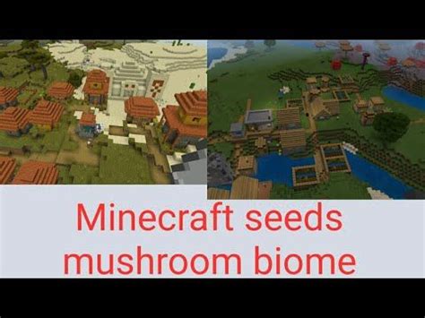 Minecraft seeds mushroom biome | Biomes, Minecraft, Minecraft seed