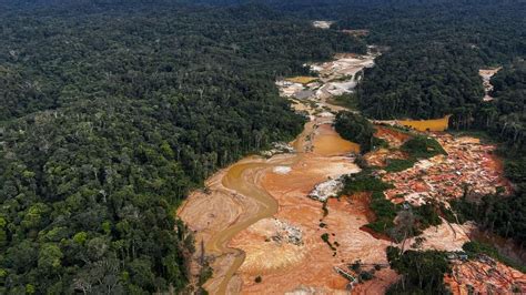 Brasilien Abholzung Im Amazonas Regenwald Nimmt Erstmals Seit 15