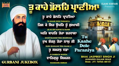 New Gurbani Shabad Kirtan Tu Kaahe Dole Paraniya Nonstop