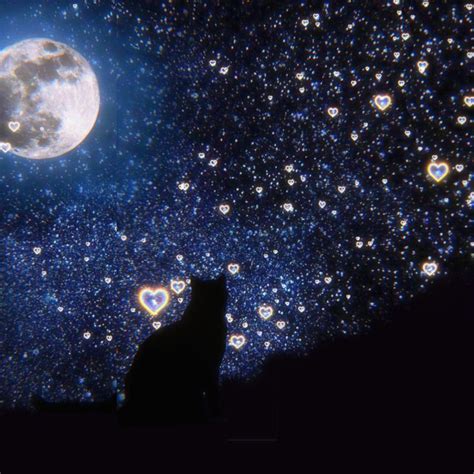 A Cat Sitting In The Dark Looking Up At The Moon And Stars On The Sky