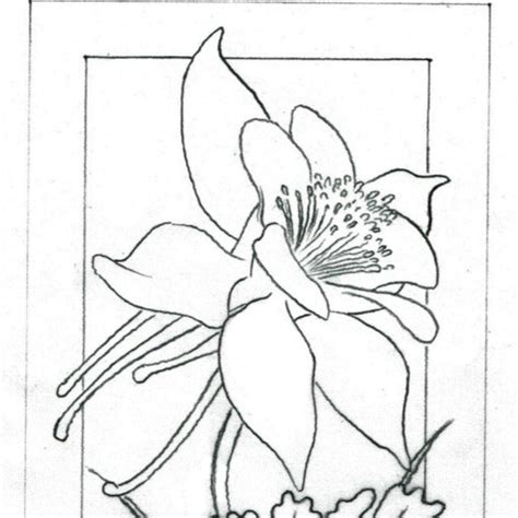 Carving The Columbine Elktracks Studio