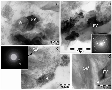 Transmission Electron Microscopy Tem Images And Selected Area