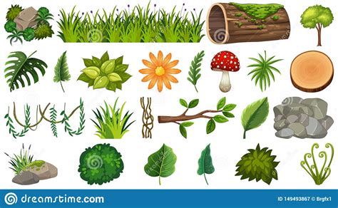 Placez Des Plantes Ornementales Illustration De Vecteur Illustration