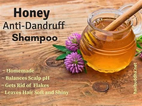 Diy Homemade Natural Anti Dandruff Shampoo All For Fashion Design