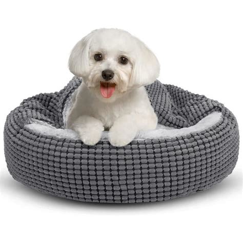 Joejoy Panier Pour Chien Lit Pour Chien Petit Chien Coussin Pour