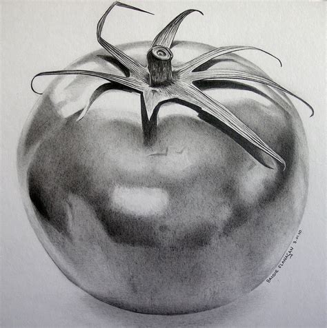 Pencil Drawings Vegetables - pencildrawing2019