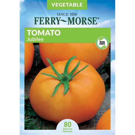 Ferry Morse Tomato Jubilee Fruit Seed The Home Depot