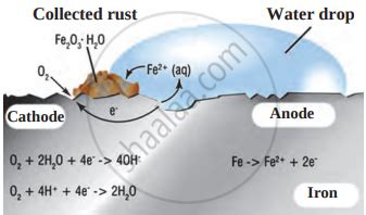 Explain The Chemical Reactions In Rusting Of Iron Shaalaa