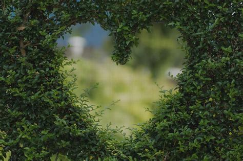 Los Mejores Corazones Fonendoscopios Mes Ordenado Por