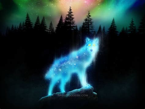 Free Wolf Spirit Animal Wallpaper Sage Goddess