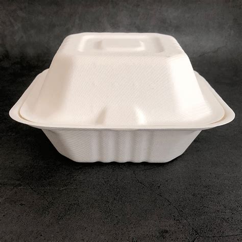 Customized Mold Food Grade Disposable Fast Food Packaging Sugarcane