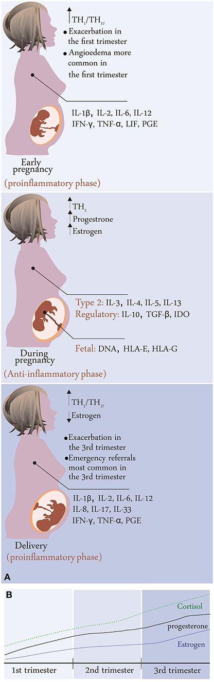 Frontiers Urticaria In Pregnancy And Lactation