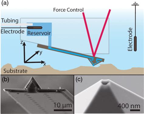 A Schematics Of The FluidFM With Ag AgCl Electrodes For Ionic Current